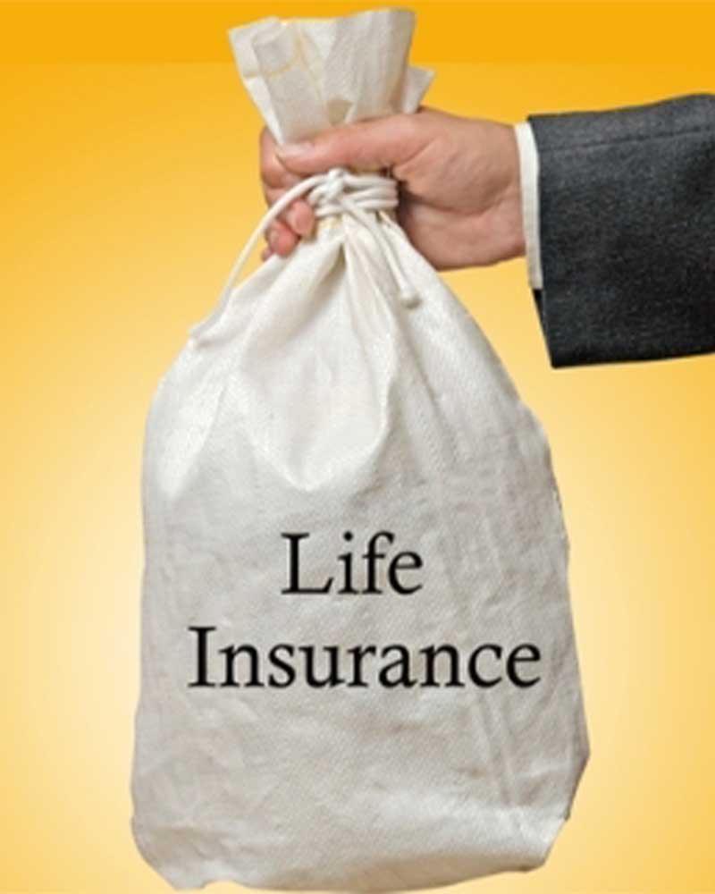 Insurance Can be Murder book cover
