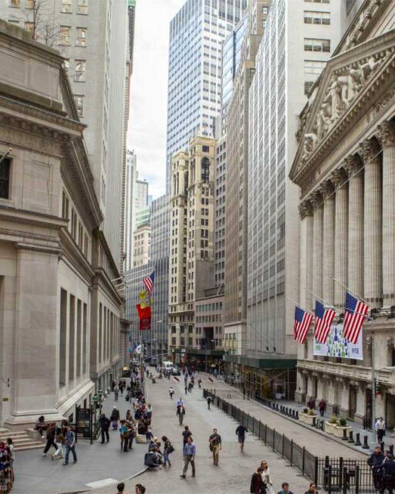 Investing In Murder book cover