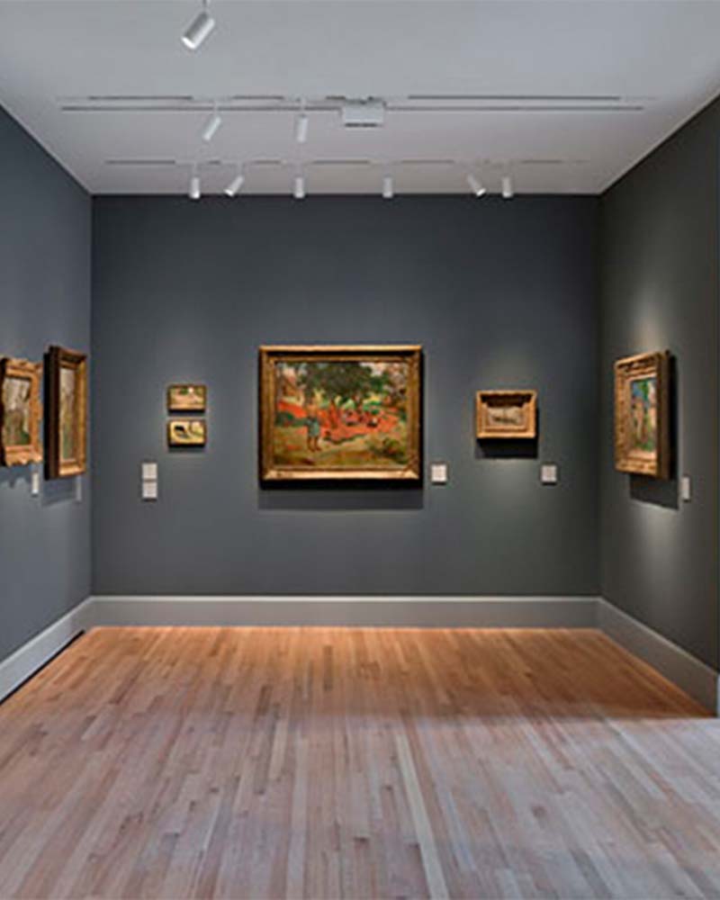 The Vineyard Collection book cover